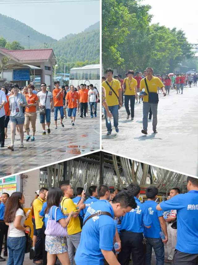 1501145454798497.jpg 14.jpg