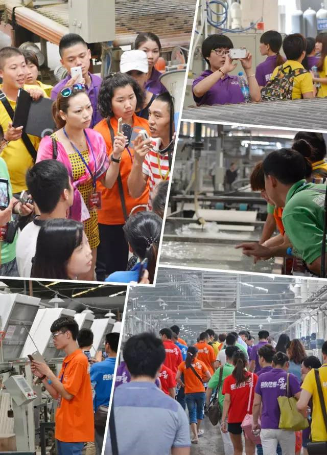 1501145490272821.jpg 15.jpg