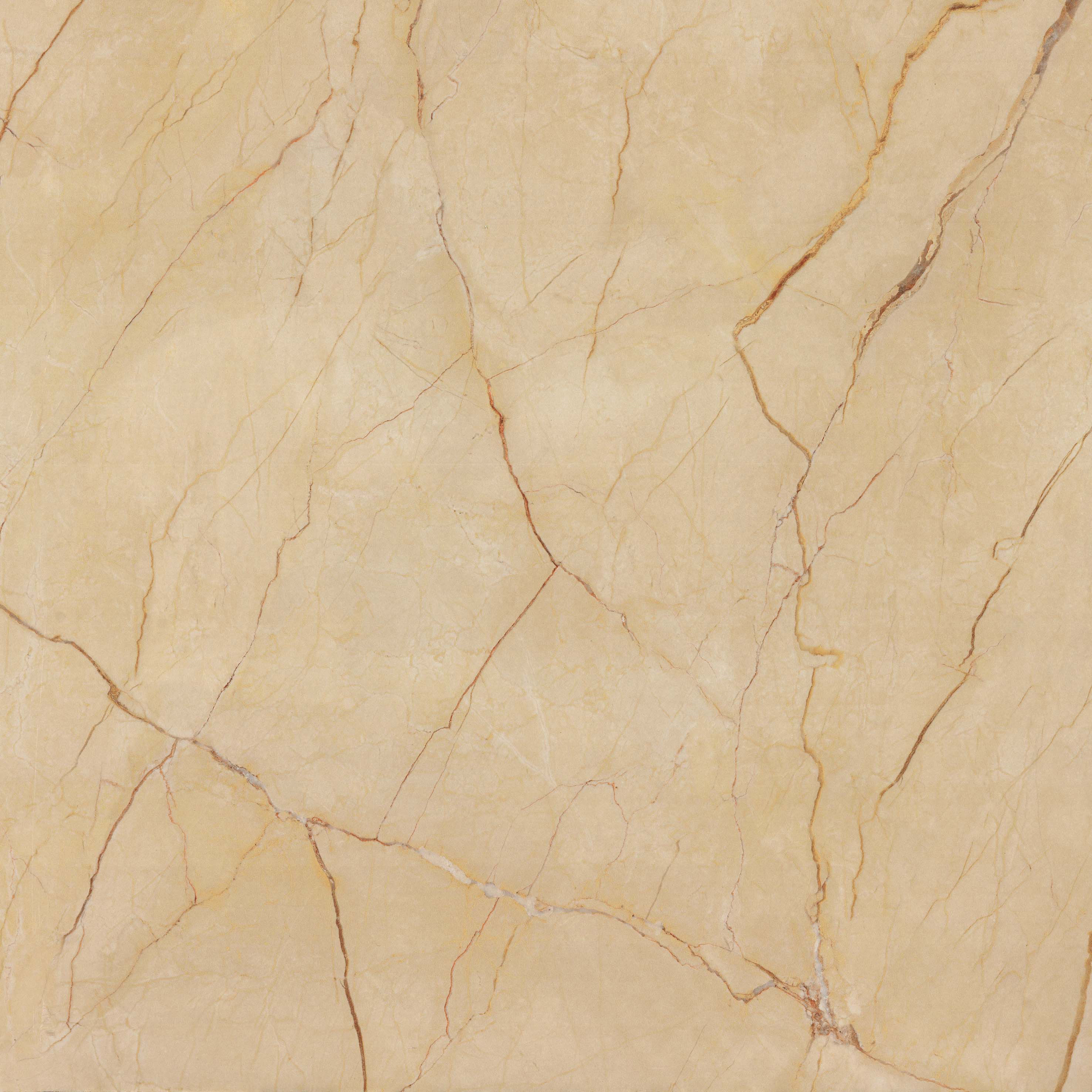 1535178821101296.jpg NAE0877521 索菲特金.jpg