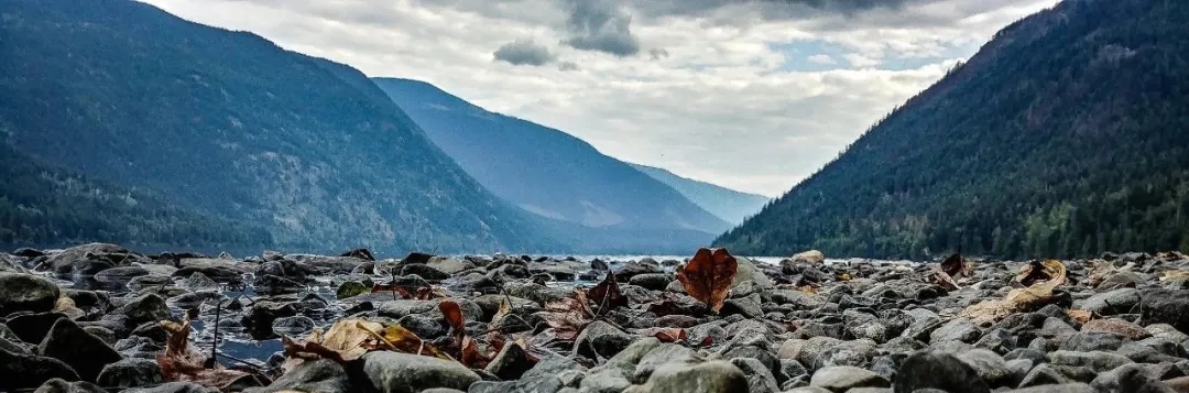 1624242294337584.jpg 1624242294337584.jpg