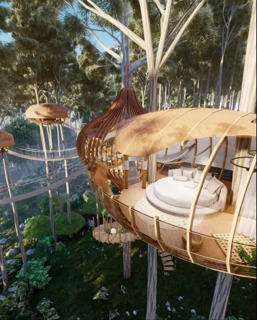 1639623104111878.jpg 1639623104111878.jpg