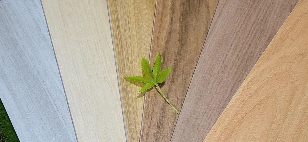 1639623169876987.jpg 1639623169876987.jpg