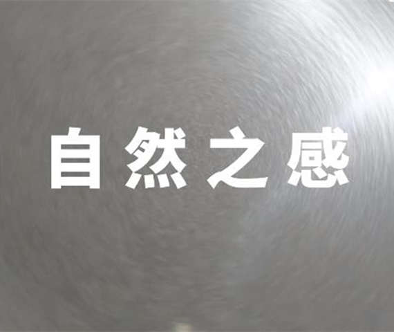 大宅裝修：首選森尼素巖系列