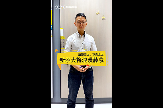 天鵝絨&middot;暖冬系列（浪漫藤紫-0196）